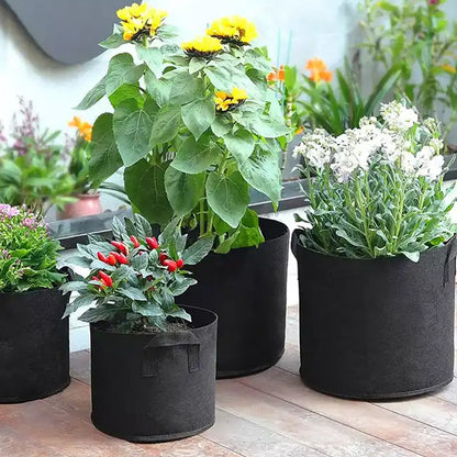 Pack of 10 Fabric Breathable Grow Pots Planter Bags with Handle_6