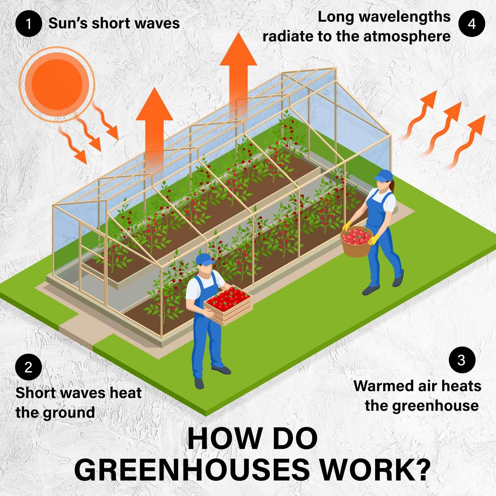 Home Ready Dome Hoop Tunnel Polytunnel Greenhouse Walk-In Shed PE - Pmboutdoor